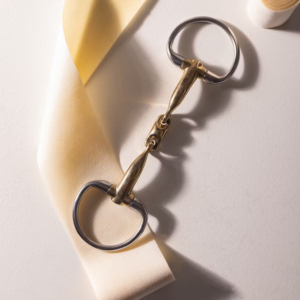 Metal snaffle bit on a light background