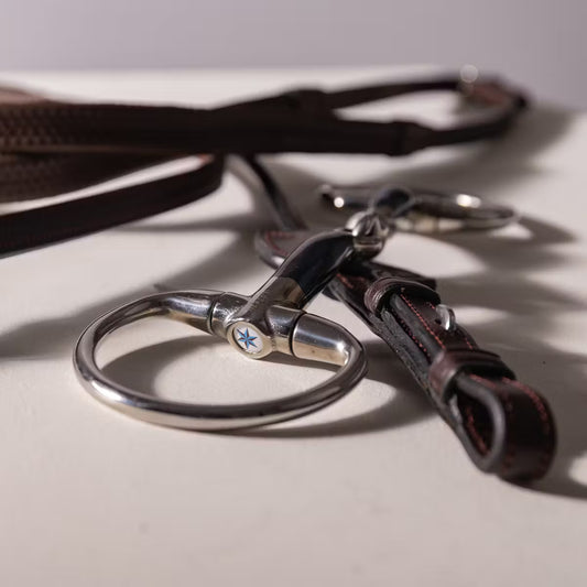 Close-up of a leather bridle with a metal bit on a light surface