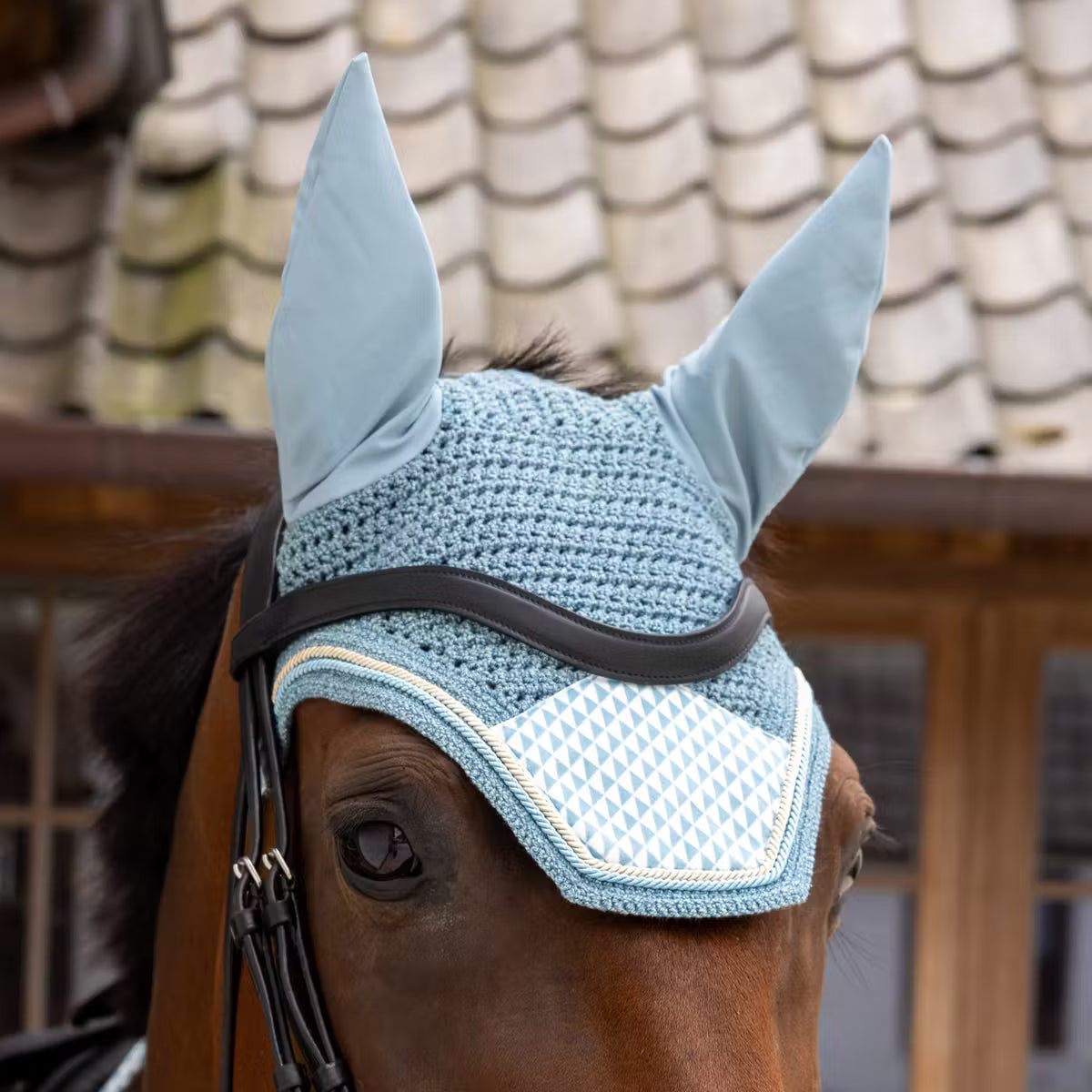 Horse wearing a blue fly mask with ear flaps against a tiled roof background
