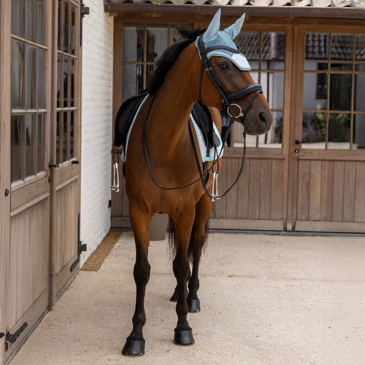 Brown horse wearing a bridle and blue blinders standing in front of a stable.