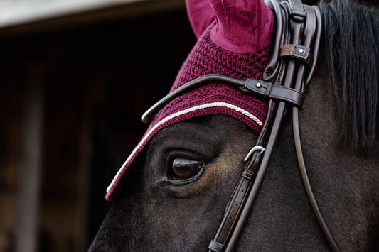 Close-up of a horse wearing a wine fly veil