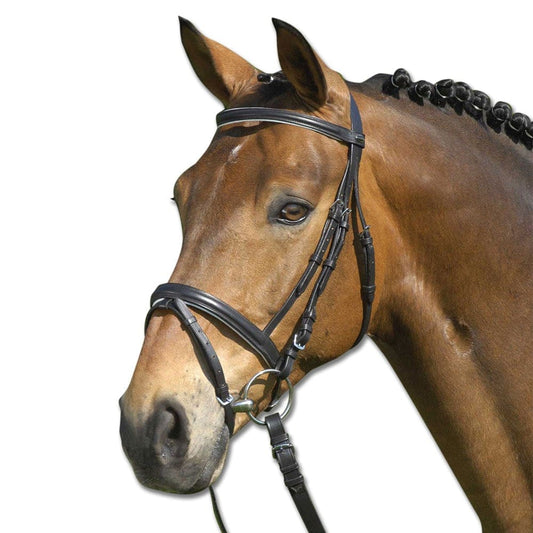 Boomerang Equestrian - Waldhausen Padded Star Bridle
