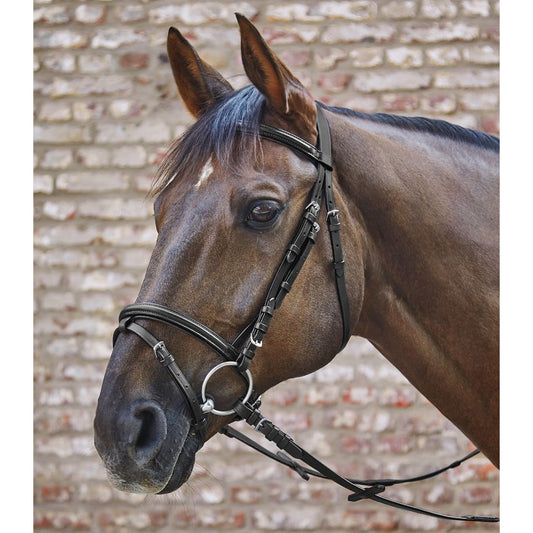 Boomerang Equestrian - Waldhausen Star Basic Bridle Black
