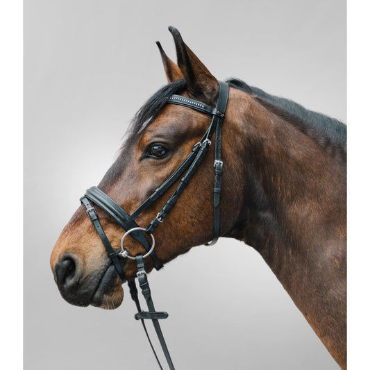 Boomerang Equestrian - Waldhausen Star Diamant Bridle Black