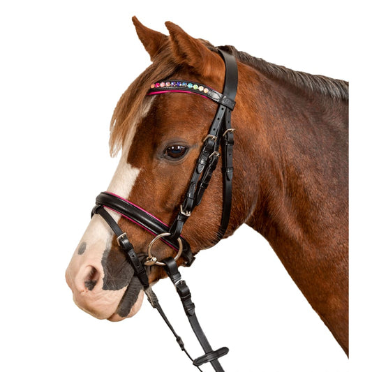 Boomerang Equestrian - Waldhausen Star Pinky Bridle Black