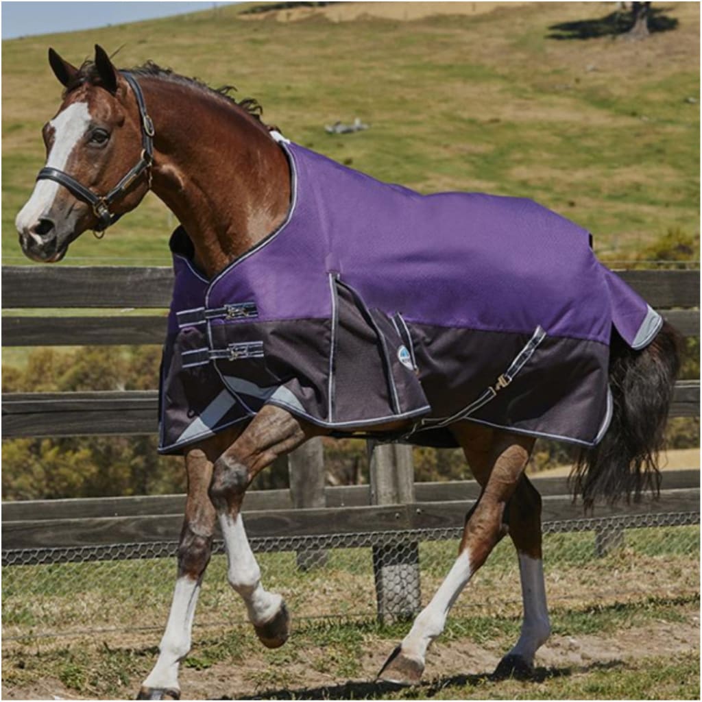 Weatherbeeta ComfiTec Plus Dynamic Standard Neck Lite 0g Rug Purple/Black - 6’9 - Turnout Rug