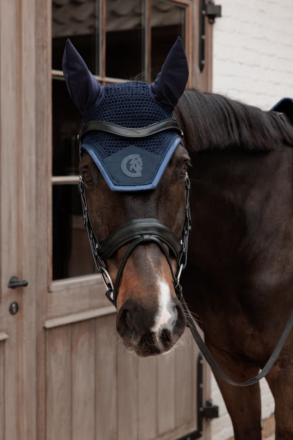 Horse wearing a blue fly mask in front of a stable door