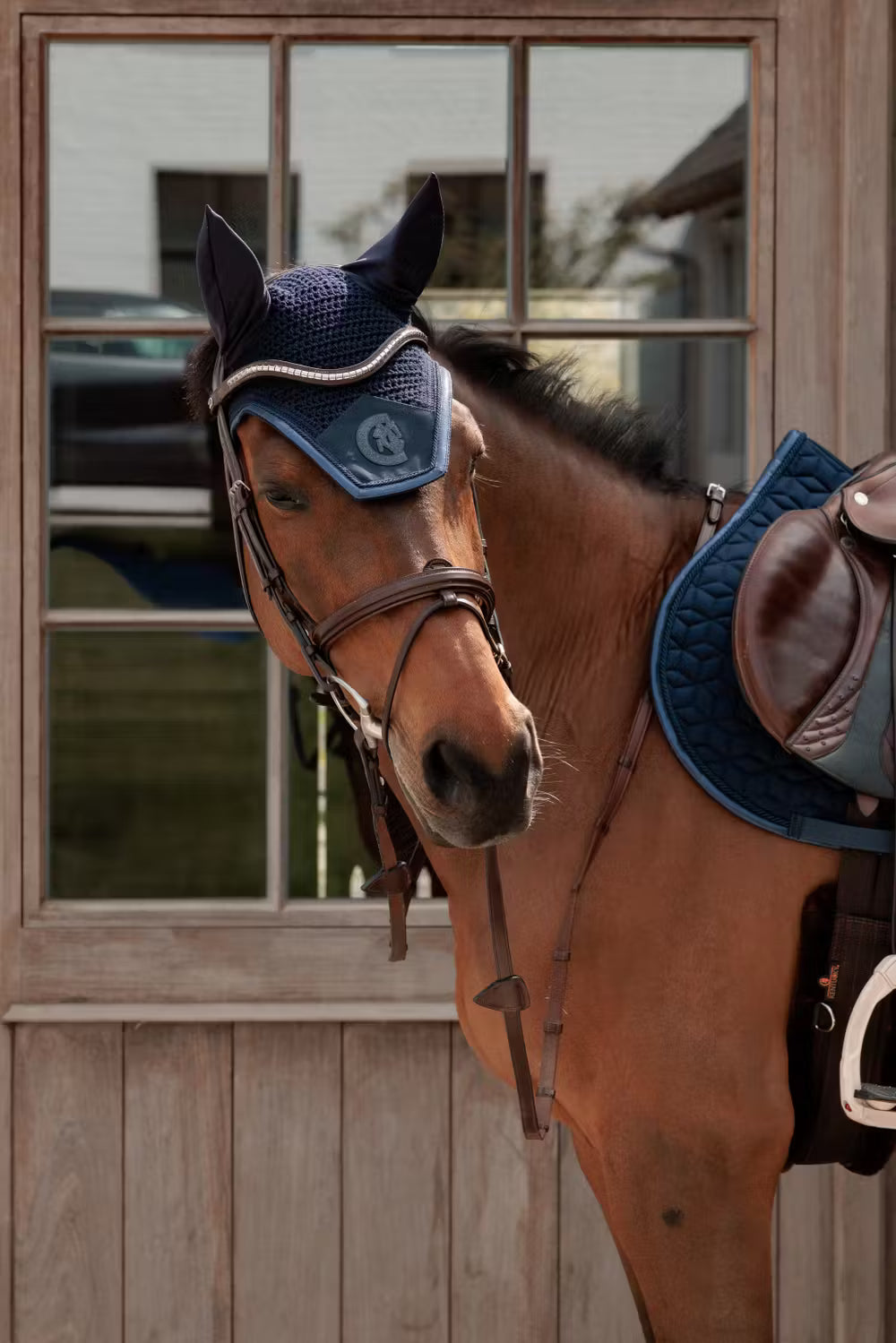 Brown horse with a blue fly veil and saddle pad standing in front of a wooden stable door.