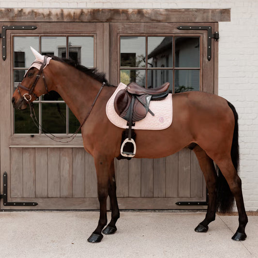 Brown horse with a saddle in front of wooden doors