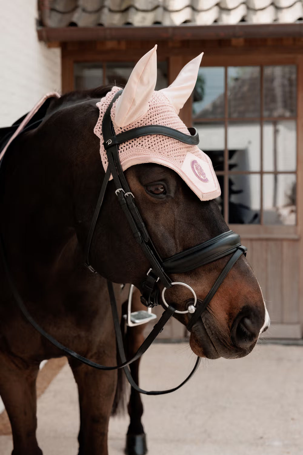 Horse wearing a pink fly mask in an outdoor setting