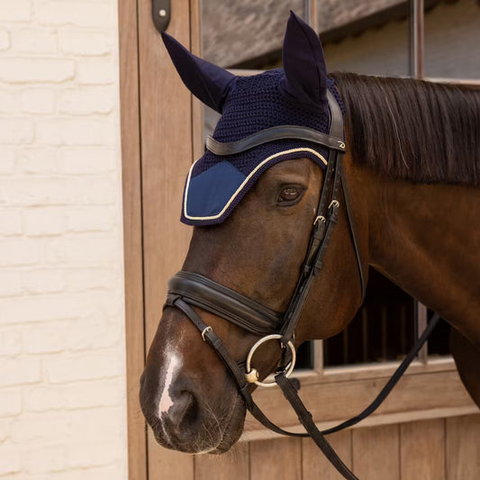Horse wearing a blue ear bonnet in front of a stable door.