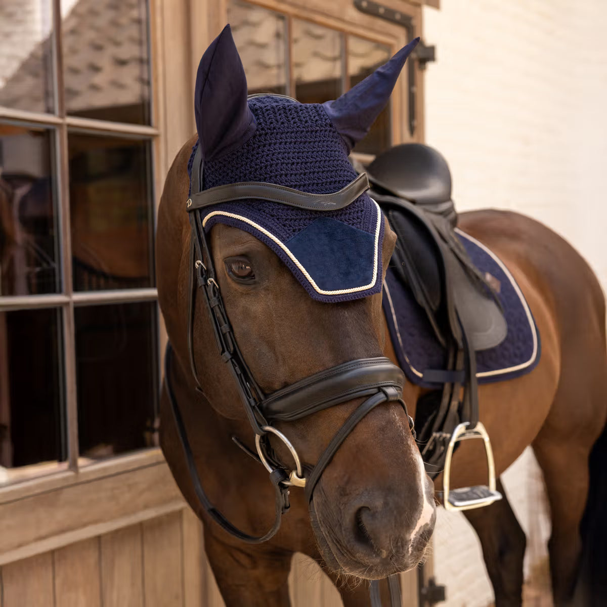 Horse wearing a blue fly mask and saddle pad in a stable.