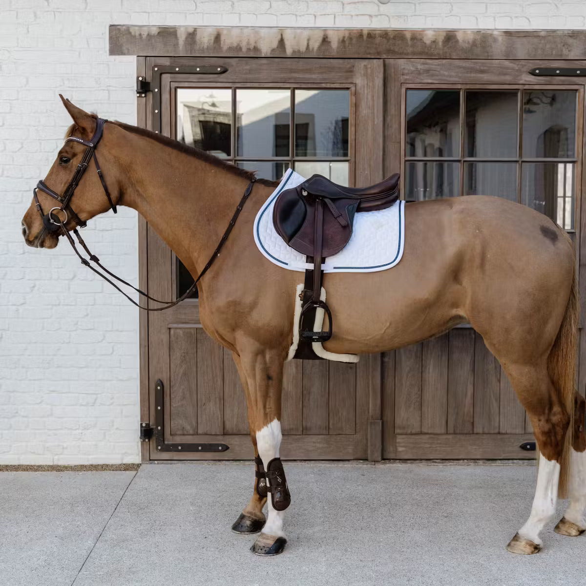 Chestnut horse tacked up standing in front of a barn with glass windows.