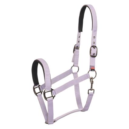 Horse halter with metallic hardware on a white background