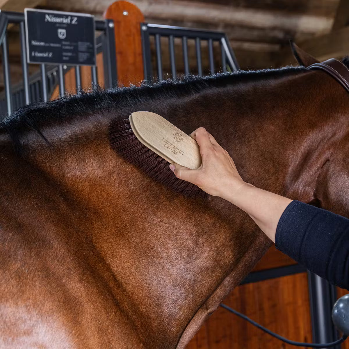 Person grooming a horse with a brush in an indoor setting