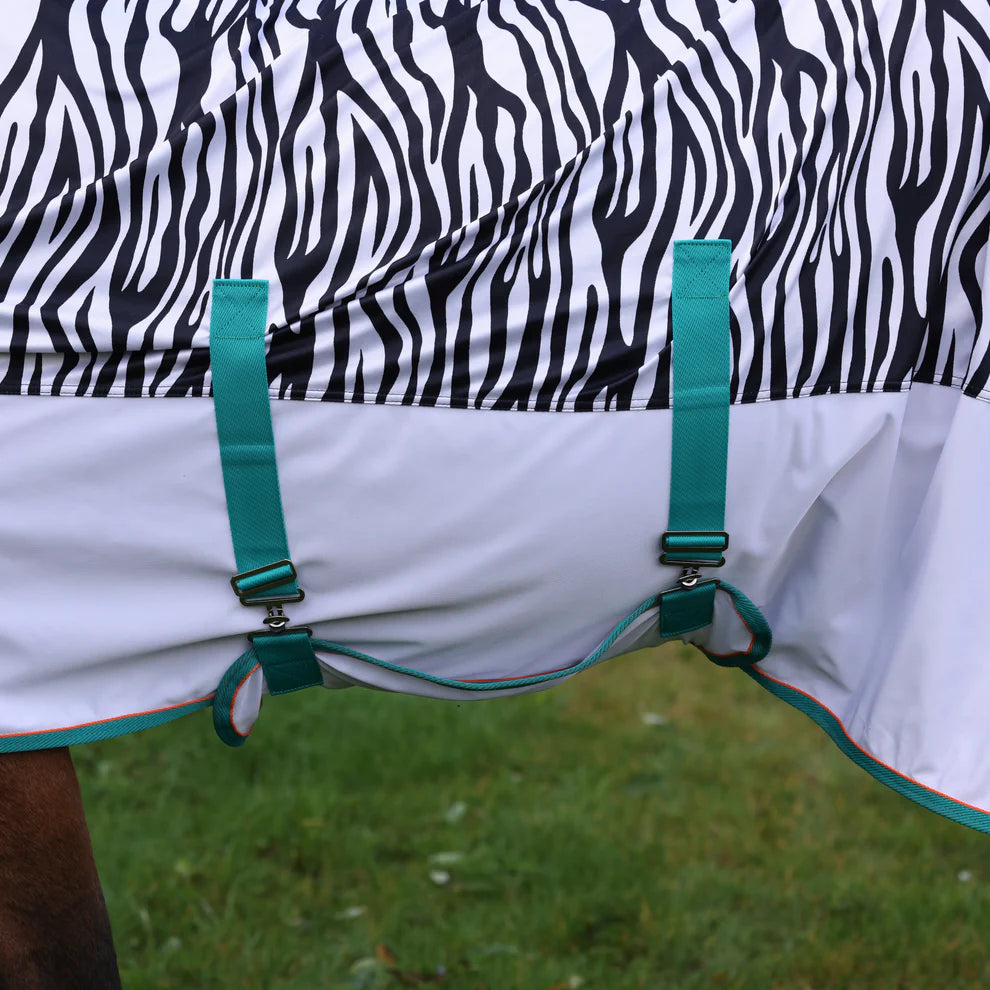 Zebra-patterned horse blanket with green straps on a grassy background