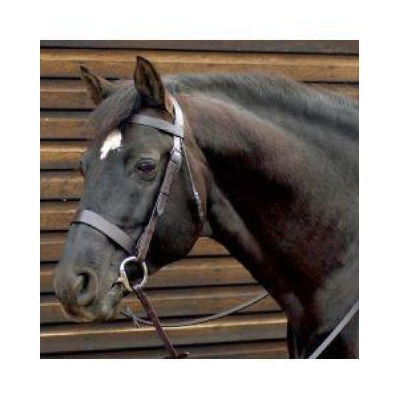 Caldene Wide Plain Snaffle Bridle with Reins - Bridle