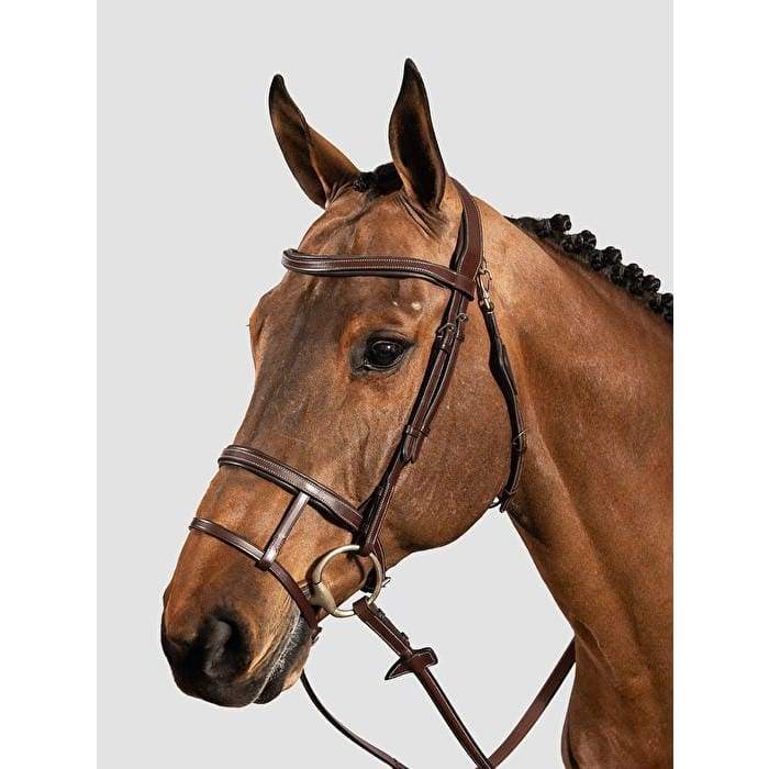 Equiline Double Noseband Leather Bridle & Reins - Bridle