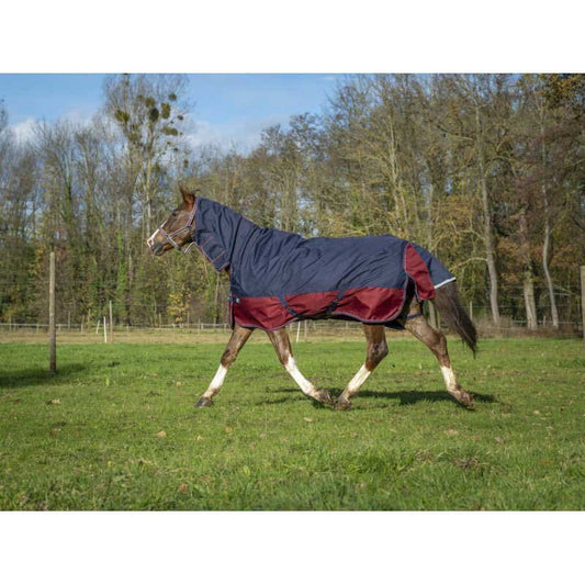 Boomerang Equestrian - Equitheme Tyrex 0g Outdoor Rug With Neck Navy/Burgundy