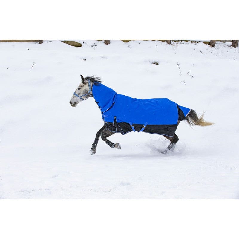 Boomerang Equestrian - Equitheme Tyrex 300 g Outdoor Rug With Full Neck Blue/Black