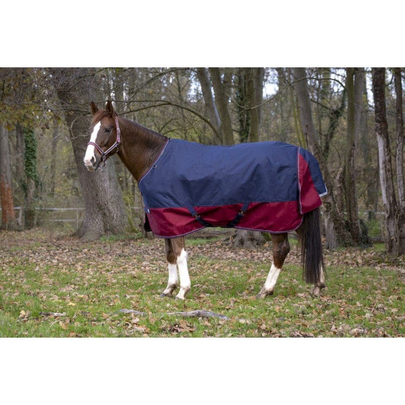 Boomerang Equestrian - Equitheme Tyrex 300g Outdoor Rug Standard Neck Navy/Burgundy
