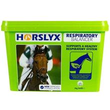  Horslyx 5kg - Horse Treat