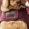 Kentucky Dog Coat Original Bordeaux - XS - 31 CM - Dog Coats