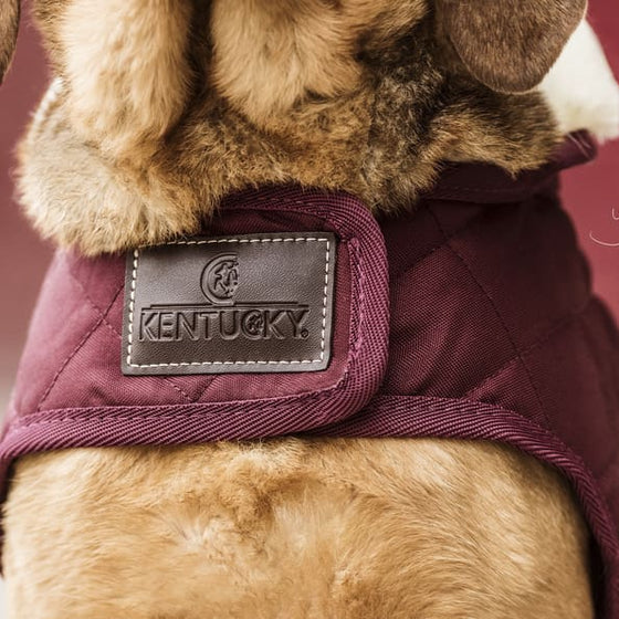 Kentucky Dog Coat Original Bordeaux - XS - 31 CM - Dog Coats