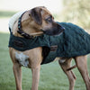 Kentucky Dog Coat Original Dark Green - Dog Coat