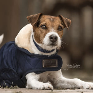 Boomerang Equestrian - Kentucky Dog Coat Original Navy