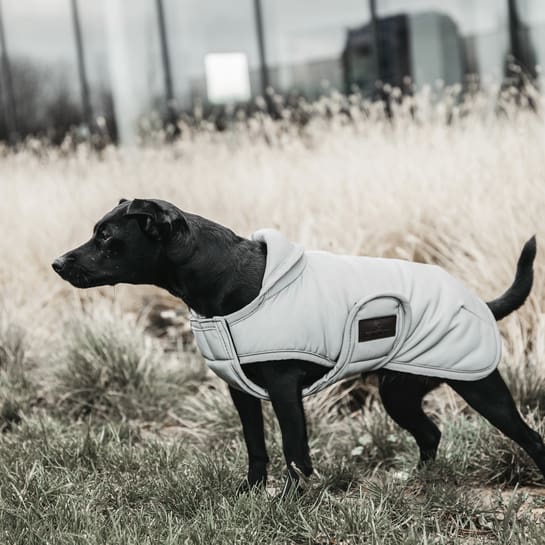 Boomerang Equestrian - Kentucky Dog Coat Reflective & Water Repellent Belly Cover 150 g