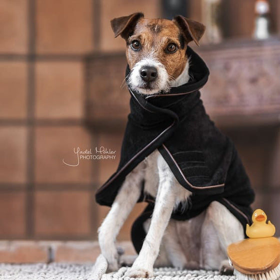 Kentucky Dog Coat Towel Black - Dog Coat