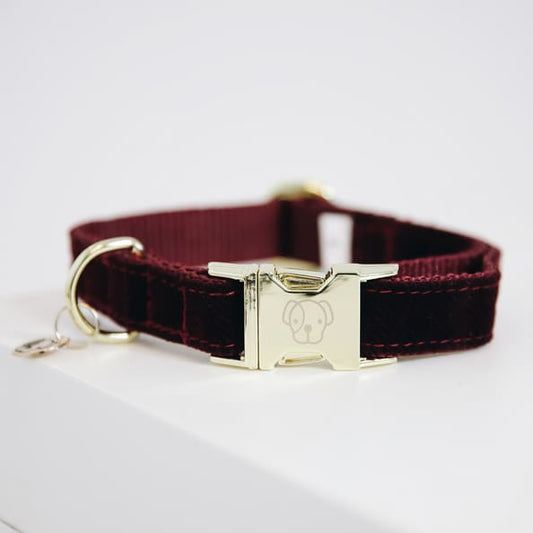 Boomerang Equestrian - Kentucky Dog Collar Corduroy Bordeaux