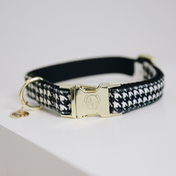 Kentucky Dog Collar Pied De Poule Black - Dog Collar