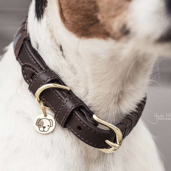 Kentucky Dog Collar Triangle - Dog Collar