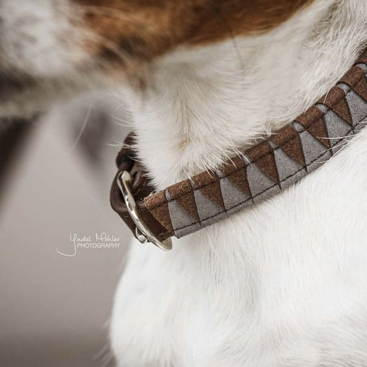 Boomerang Equestrian - Kentucky Dog Collar Triangle