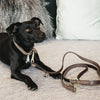 Kentucky Dog Lead Velvet Leather Brown - BROWN / 2M - Dog Lead