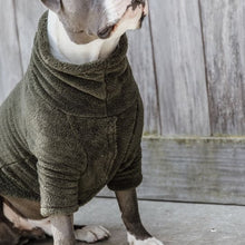  Kentucky Dog Sweater Teddy Fleece Pine Green - Dog Coat