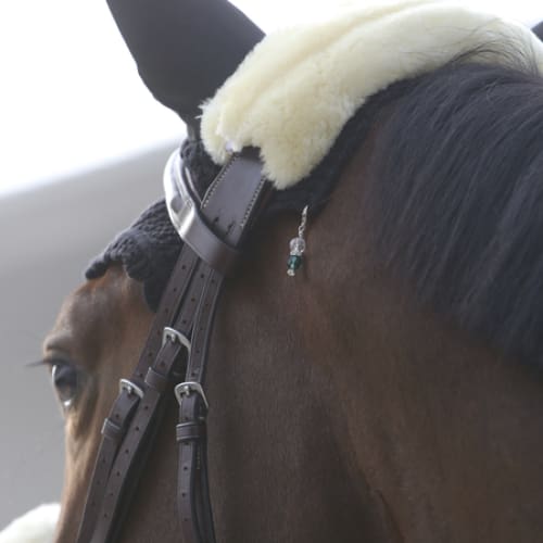 Boomerang Equestrian - Kentucky Lucky Charms Light Green/White