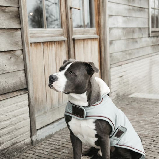 Boomerang Equestrian - Kentucky Waterproof Dog Coat 160 g Dusty Blue