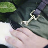 Kentucky Waterproof Dog Coat 300g Olive Green - Dog Coat