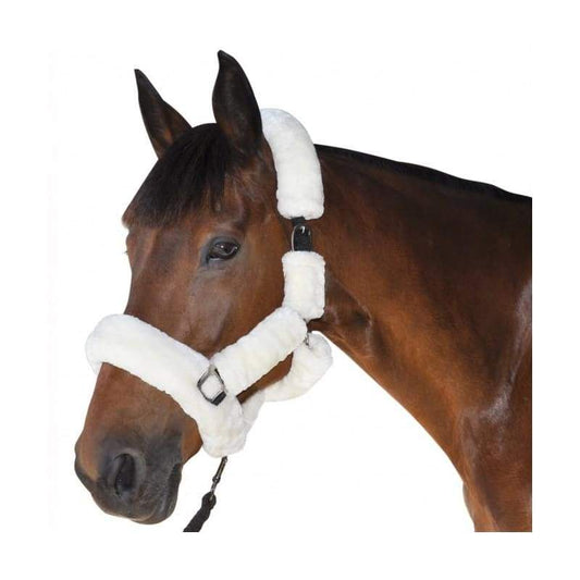 Boomerang Equestrian - Privilege Equitation Canter Shipping Headcollar Natural