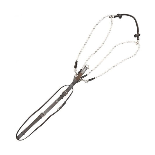 Boomerang Equestrian - Privilege Equitation Clever De Gogue