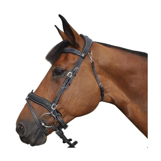 Boomerang Equestrian - Privilege Equitation Flags & Cup Comfort Combine Flash Bridle Havana