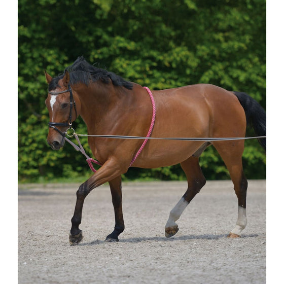 WALDHAUSEN LUNGING SYSTEM - LUNGING AID