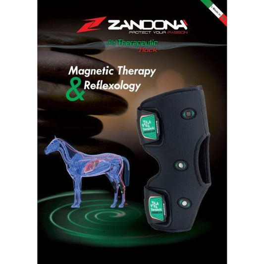 Boomerang Equestrian - Zandona Therapeutic Air Hock Boot Black